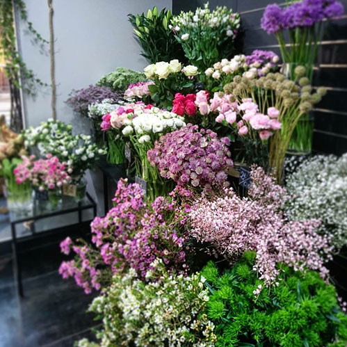 Fleuriste Condrieu